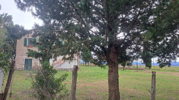 appartamento in vendita a Campagnatico