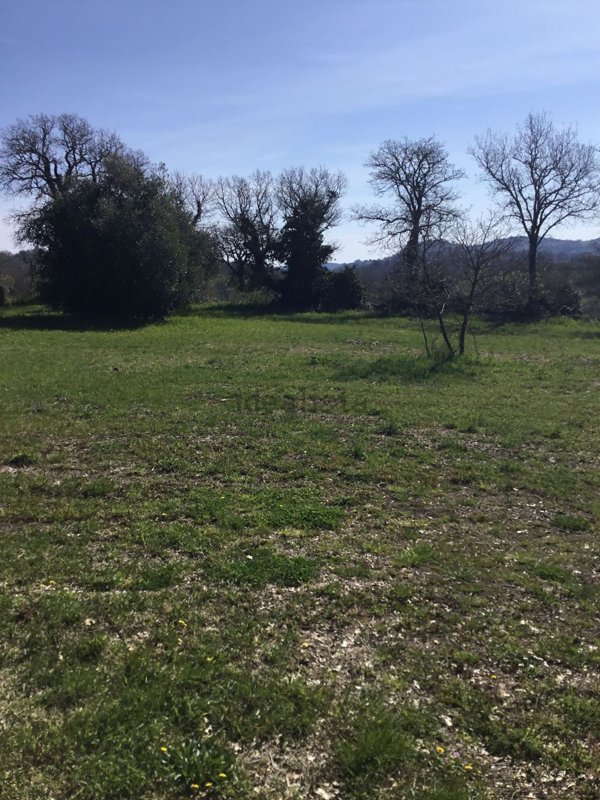 casale in vendita a Campagnatico