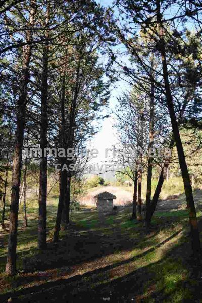 casale in vendita a Campagnatico