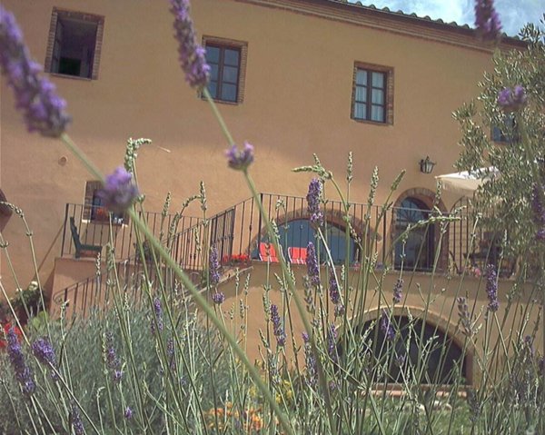 casa indipendente in vendita a Campagnatico