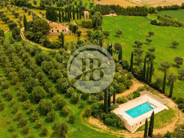 casa indipendente in vendita a Campagnatico