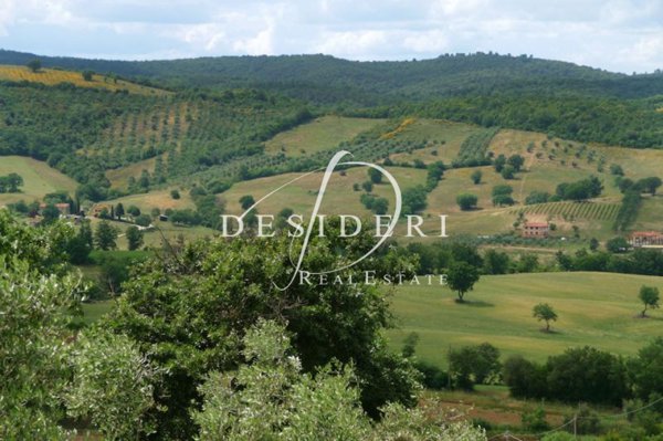 terreno agricolo in vendita a Campagnatico