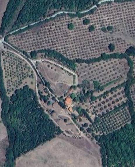 azienda agricola in vendita a Campagnatico
