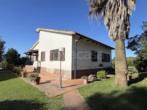 casa indipendente in vendita a Campagnatico