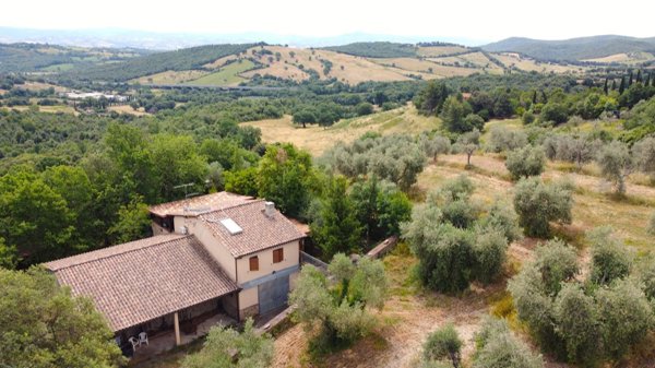 pentavano in vendita a Campagnatico in zona Montorsaio