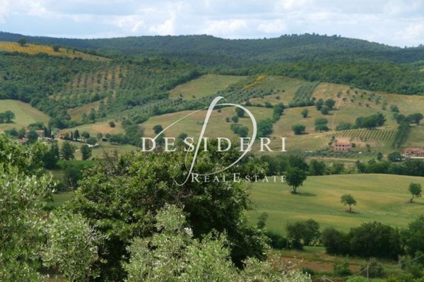 terreno agricolo in vendita a Campagnatico in zona Arcille