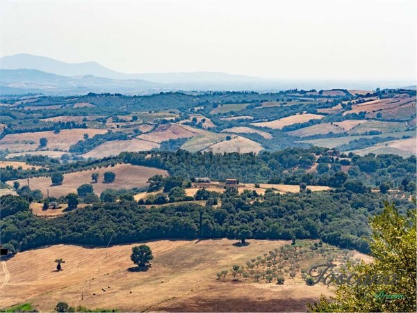 appartamento in vendita a Campagnatico