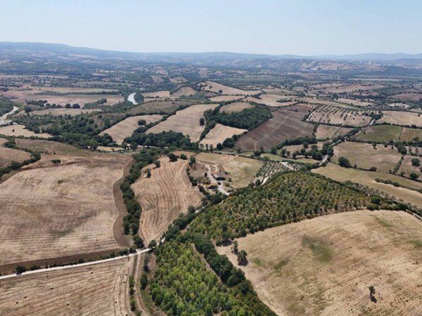 casa indipendente in vendita a Campagnatico