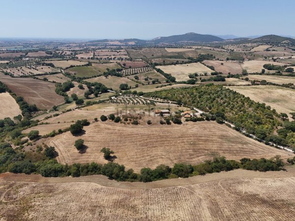 terreno agricolo in vendita a Campagnatico