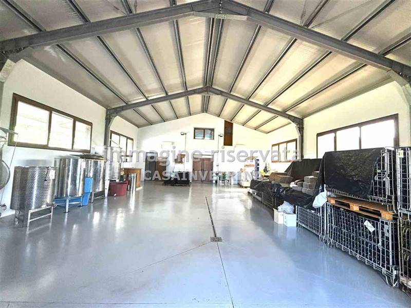 azienda agricola in vendita a Campagnatico