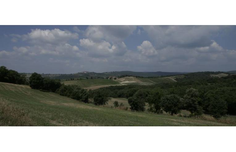 terreno agricolo in vendita a Campagnatico