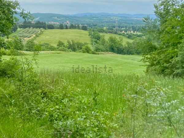 terreno agricolo in vendita a Campagnatico
