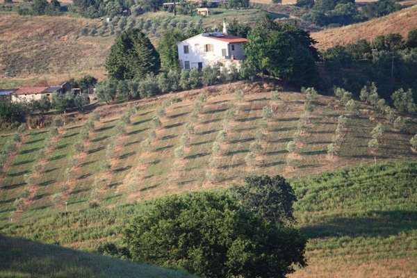 appartamento in vendita a Campagnatico