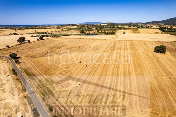 terreno agricolo in vendita a Capalbio in zona Pescia Fiorentina