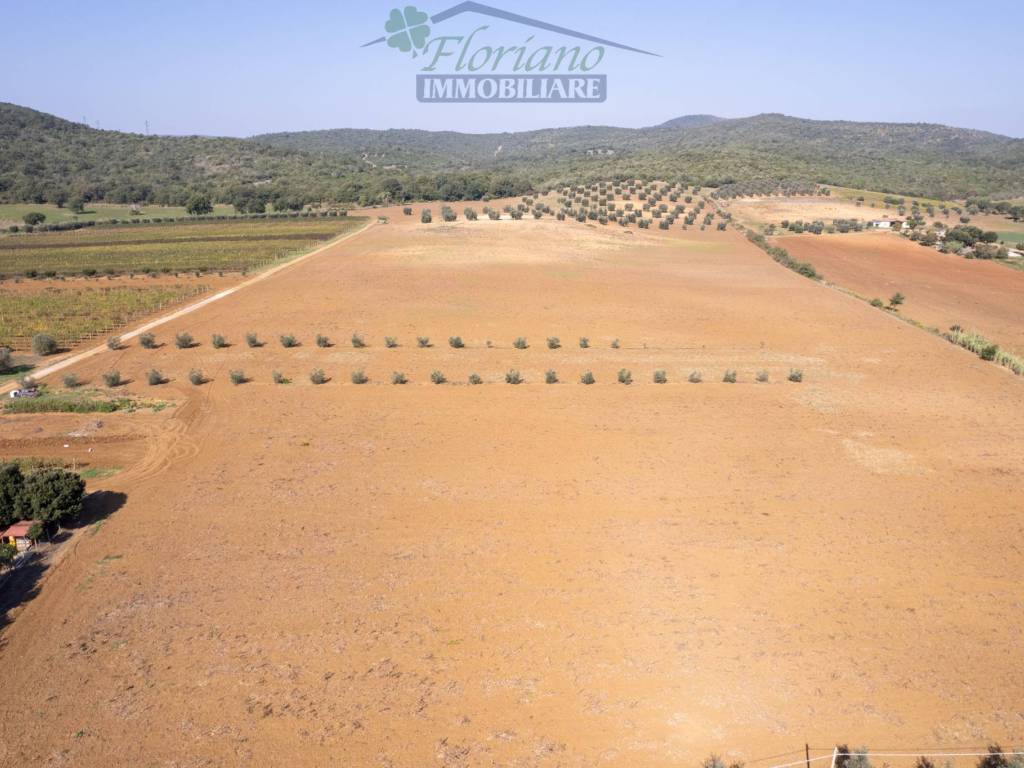 terreno agricolo in vendita a Capalbio