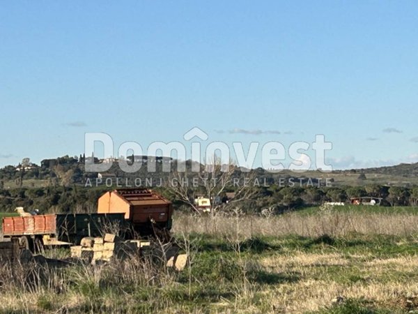appartamento in vendita a Capalbio
