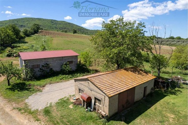 esavano in vendita a Capalbio