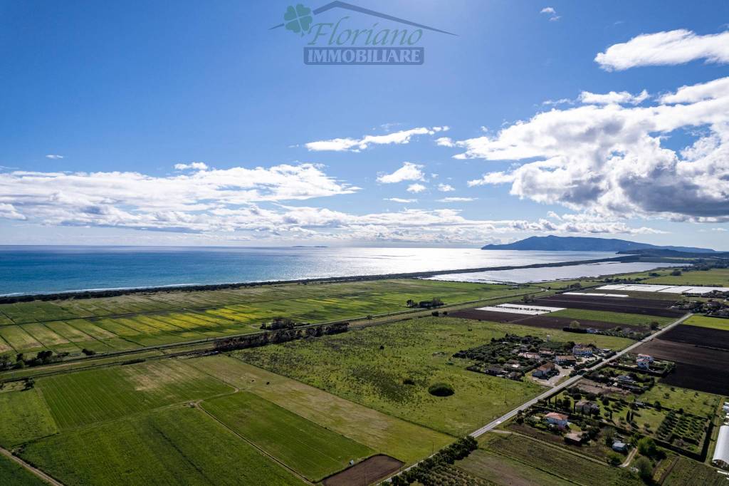 terreno agricolo in vendita a Capalbio