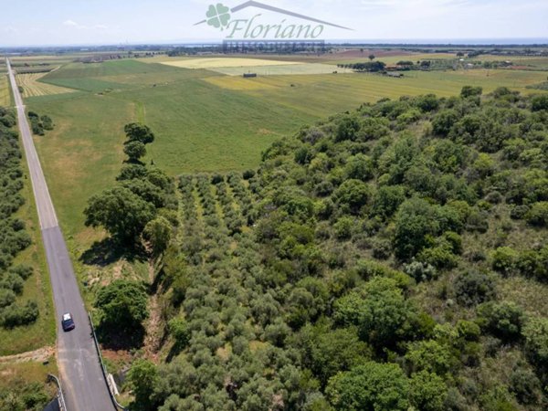 terreno agricolo in vendita a Capalbio