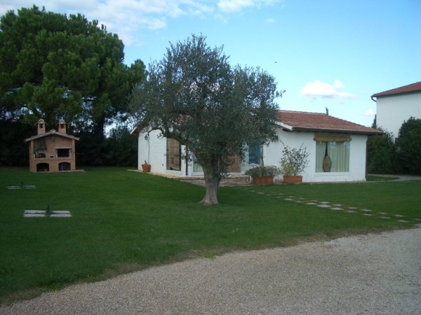 appartamento in vendita a Capalbio