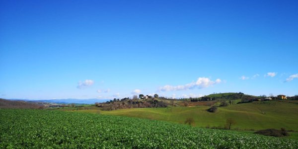 appartamento in vendita a Capalbio