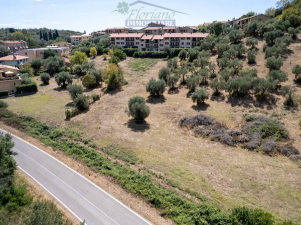 terreno agricolo in vendita a Capalbio