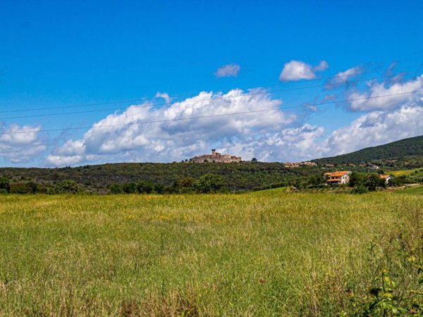 terreno agricolo in vendita a Capalbio in zona Borgo Carige