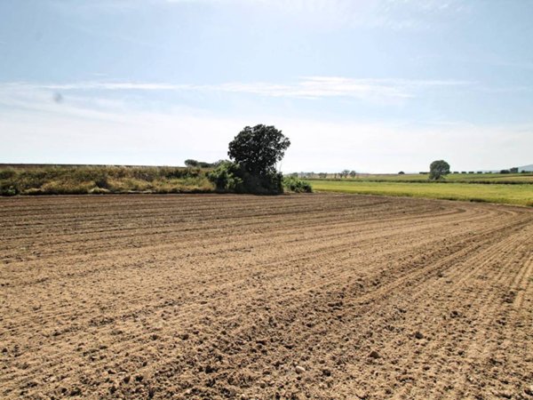terreno agricolo in vendita a Capalbio in zona Borgo Carige