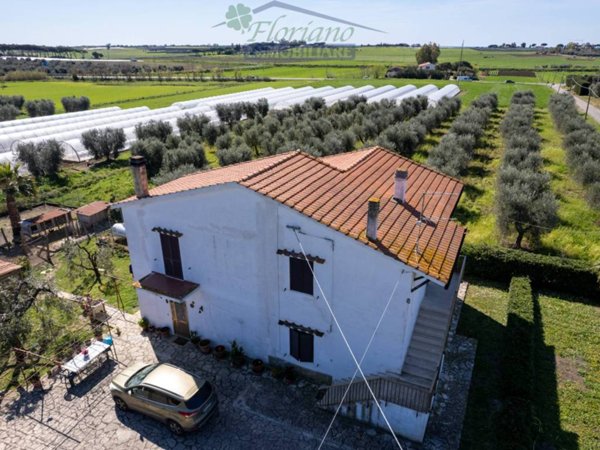 casa indipendente in vendita a Capalbio in zona Borgo Carige