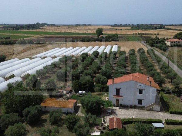 casa indipendente in vendita a Capalbio in zona Borgo Carige