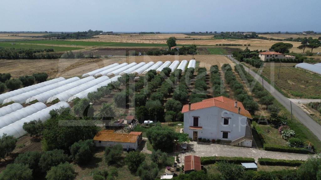 casa indipendente in vendita a Capalbio in zona Borgo Carige