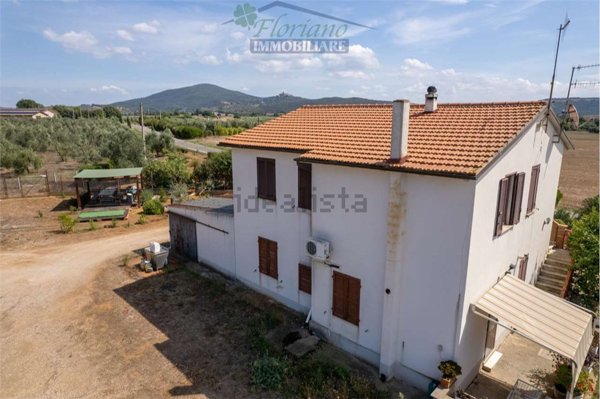 appartamento in vendita a Capalbio