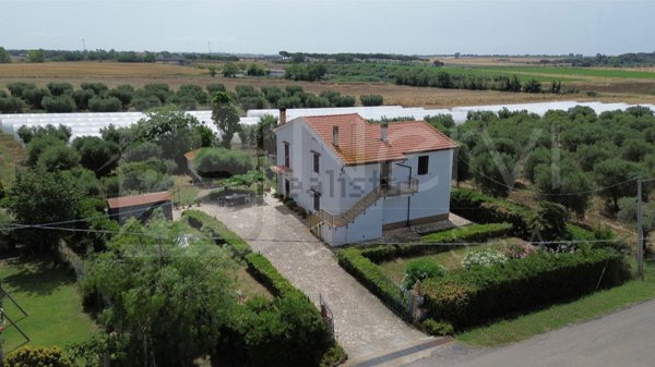 esavano in vendita a Capalbio in zona Borgo Carige