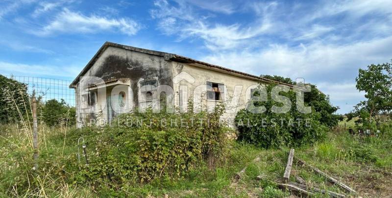 casa indipendente in vendita a Capalbio