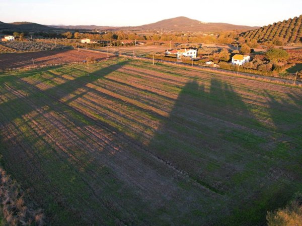 terreno agricolo in vendita a Capalbio