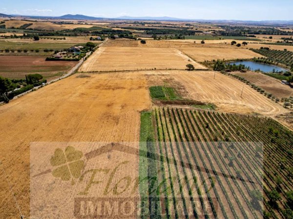 terreno agricolo in vendita a Capalbio in zona Pescia Fiorentina