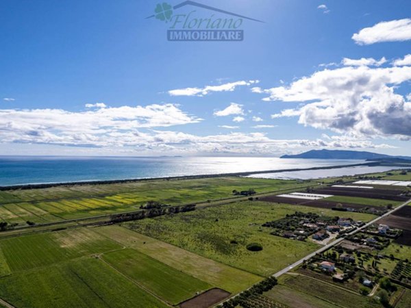 terreno agricolo in vendita a Capalbio
