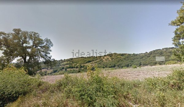 casale in vendita a Capalbio