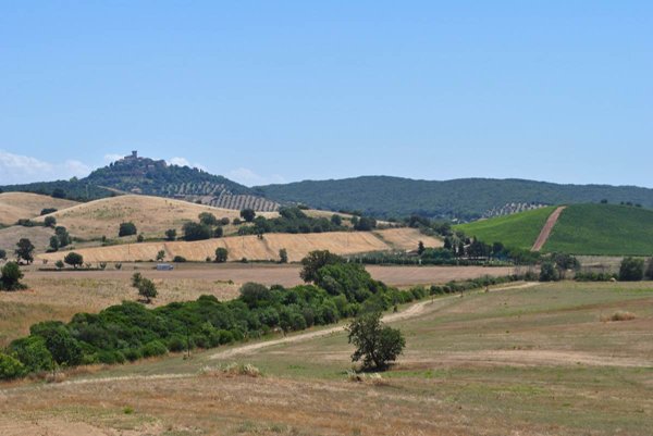 casa indipendente in vendita a Capalbio