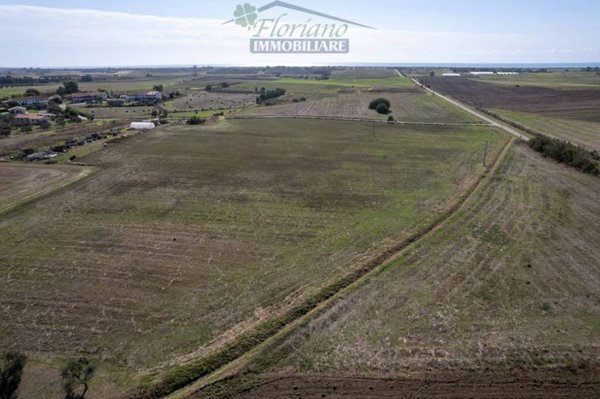 terreno agricolo in vendita a Capalbio