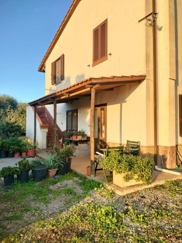 appartamento in vendita a Capalbio
