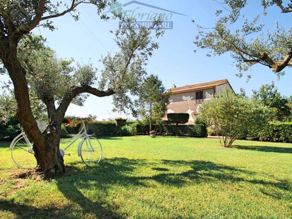 casa indipendente in vendita a Capalbio in zona Pescia Fiorentina