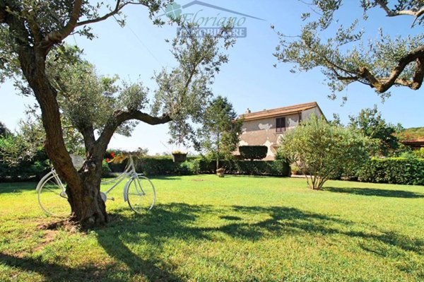 casa indipendente in vendita a Capalbio in zona Pescia Fiorentina