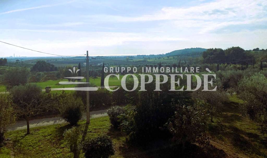 casa indipendente in vendita a Capalbio in zona Pescia Fiorentina