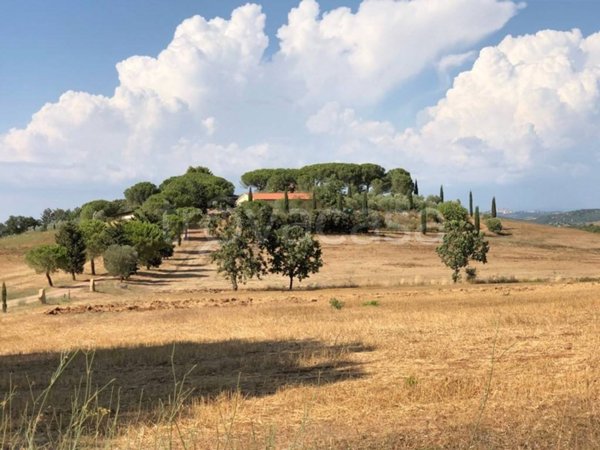casa indipendente in vendita a Capalbio