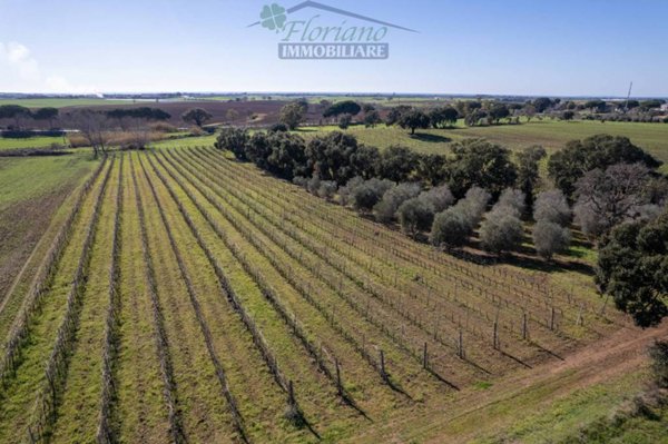 locale di sgombero in vendita a Capalbio in zona Borgo Carige