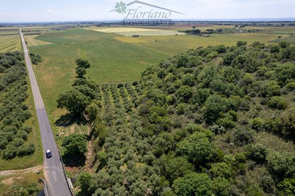 terreno agricolo in vendita a Capalbio
