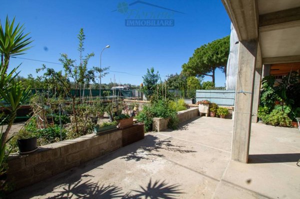 appartamento in vendita a Capalbio