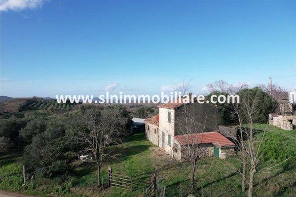 appartamento in vendita a Capalbio