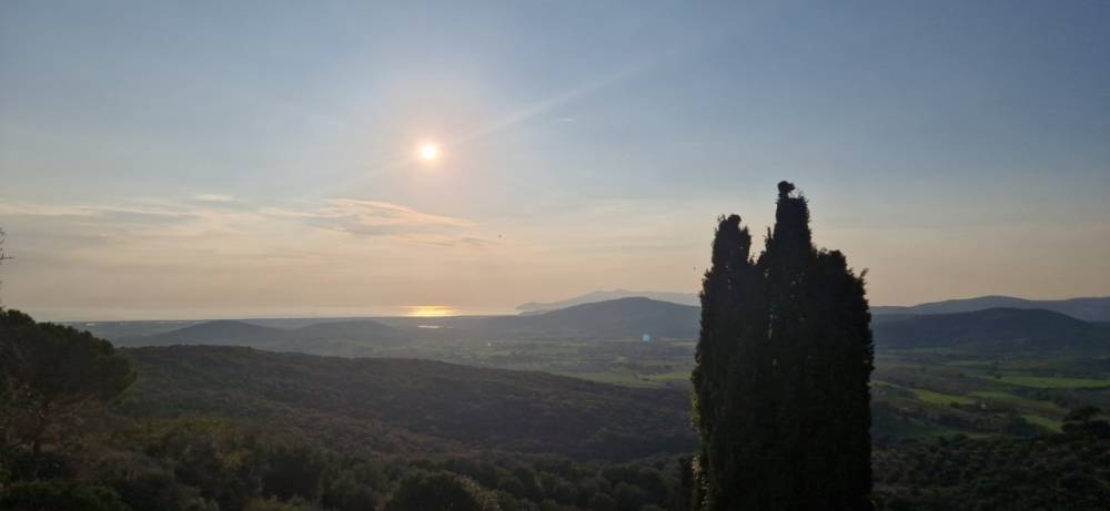 appartamento in vendita a Capalbio